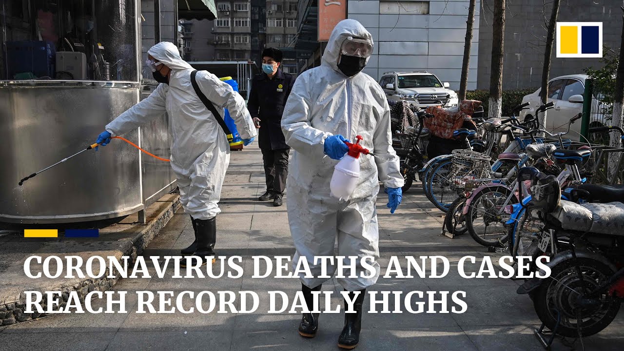New coronavirus deaths and cases in China reach record daily highs
