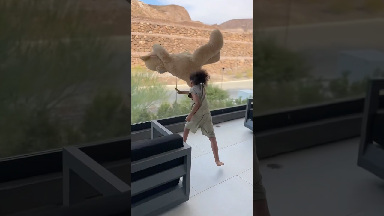 Son tells mom that his stuffed animal comes to life so he does this&hellip; #shorts #haunted #scary ￼
