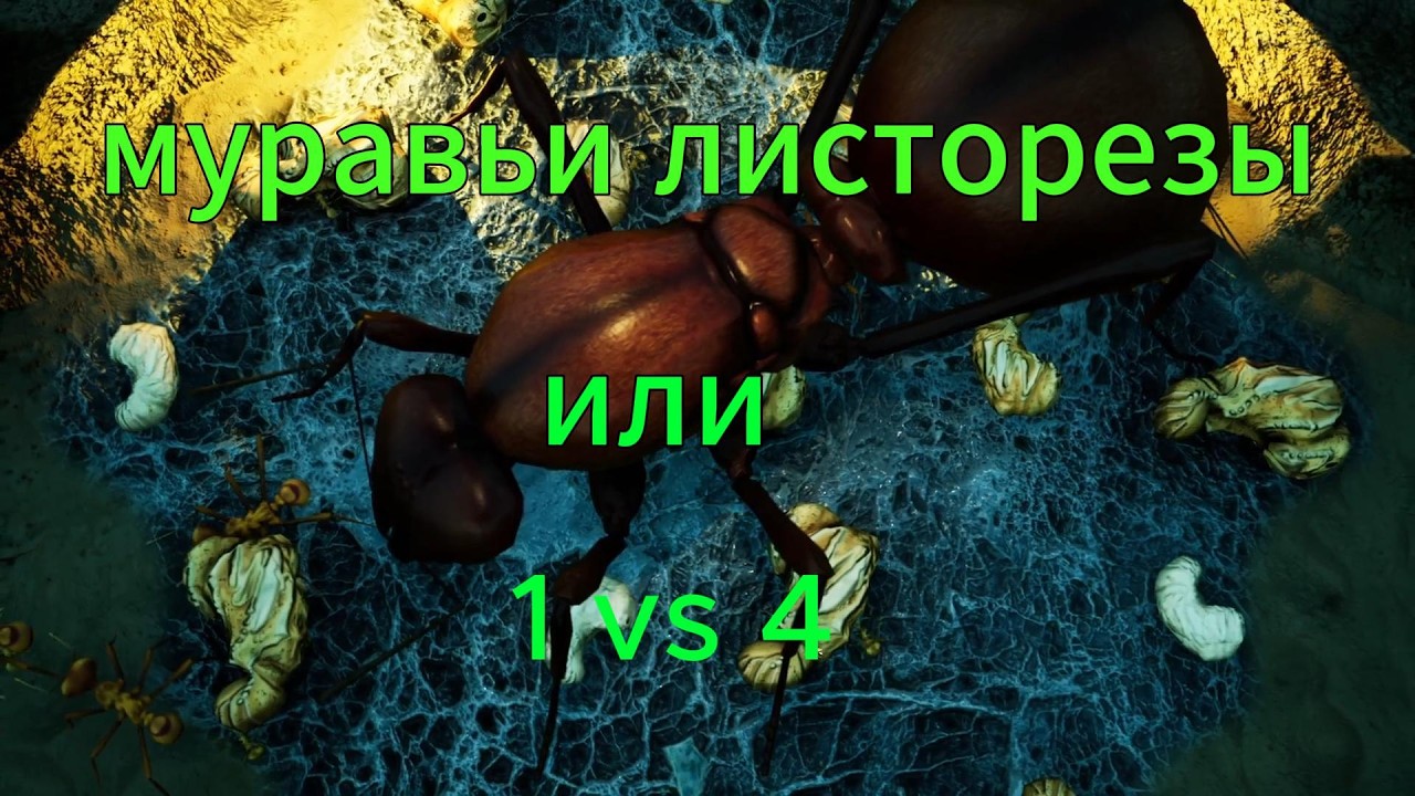 empires of the undergrowth. Муравьи листорезы или 1vs 4