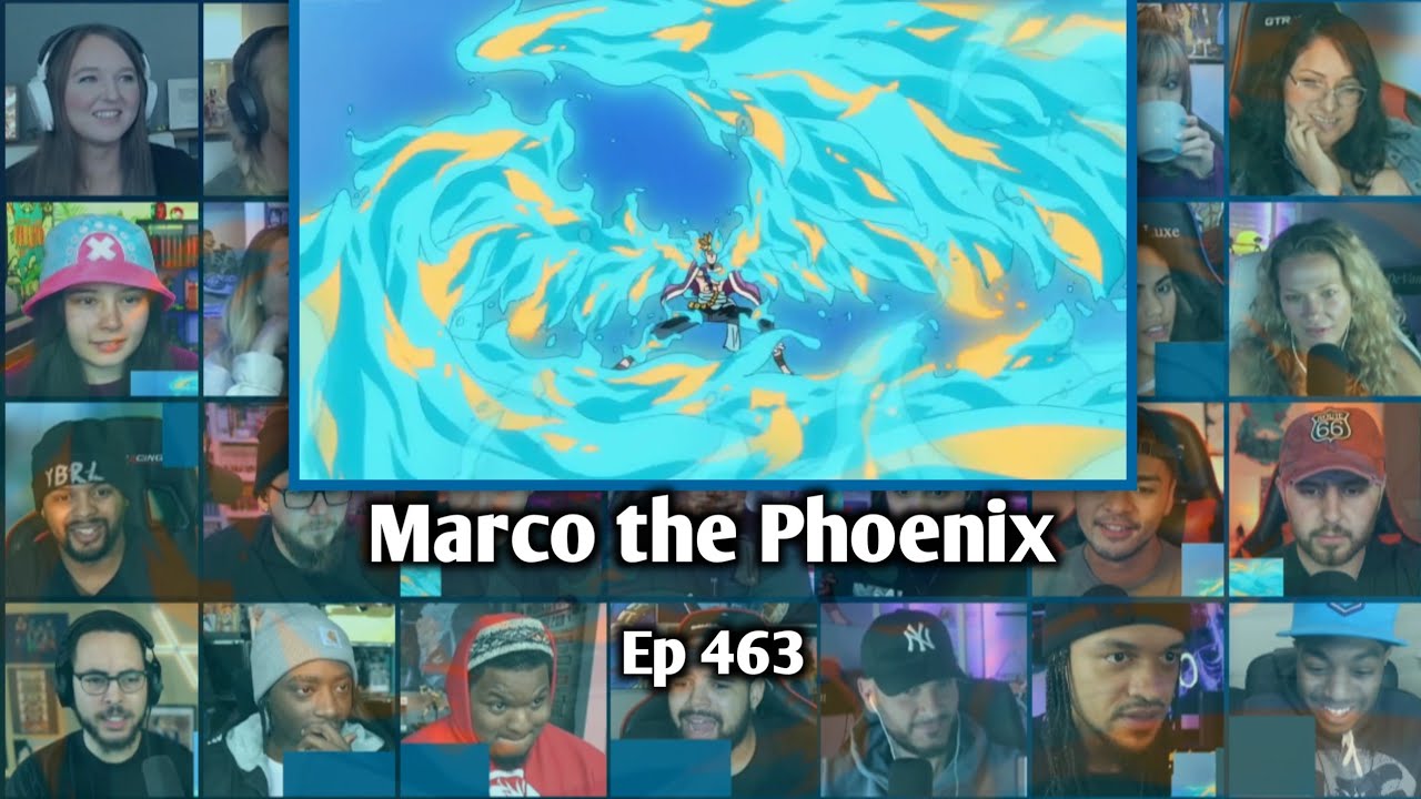 MARCO VS KIZARU REACTION MASHUP - ONE PIECE EPISODE 463