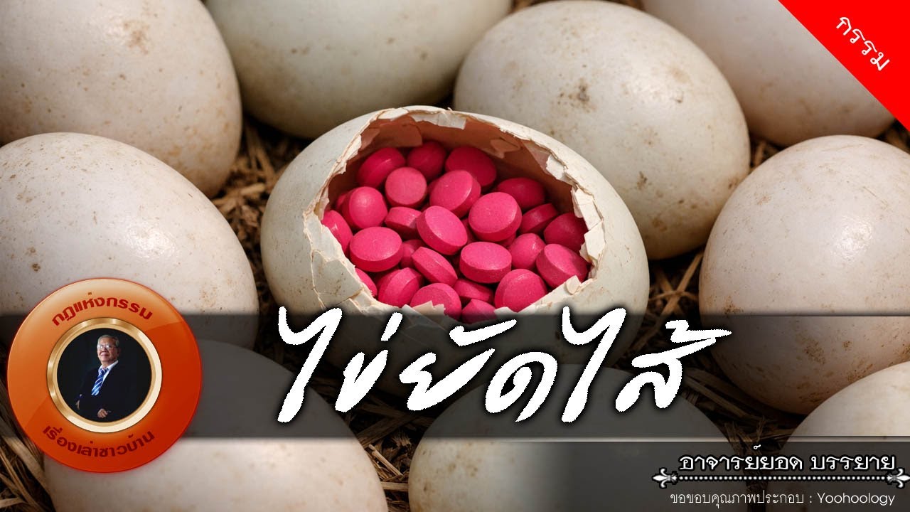 อาจารย์ยอด : ไข่ยัดไส้ [กรรม]
