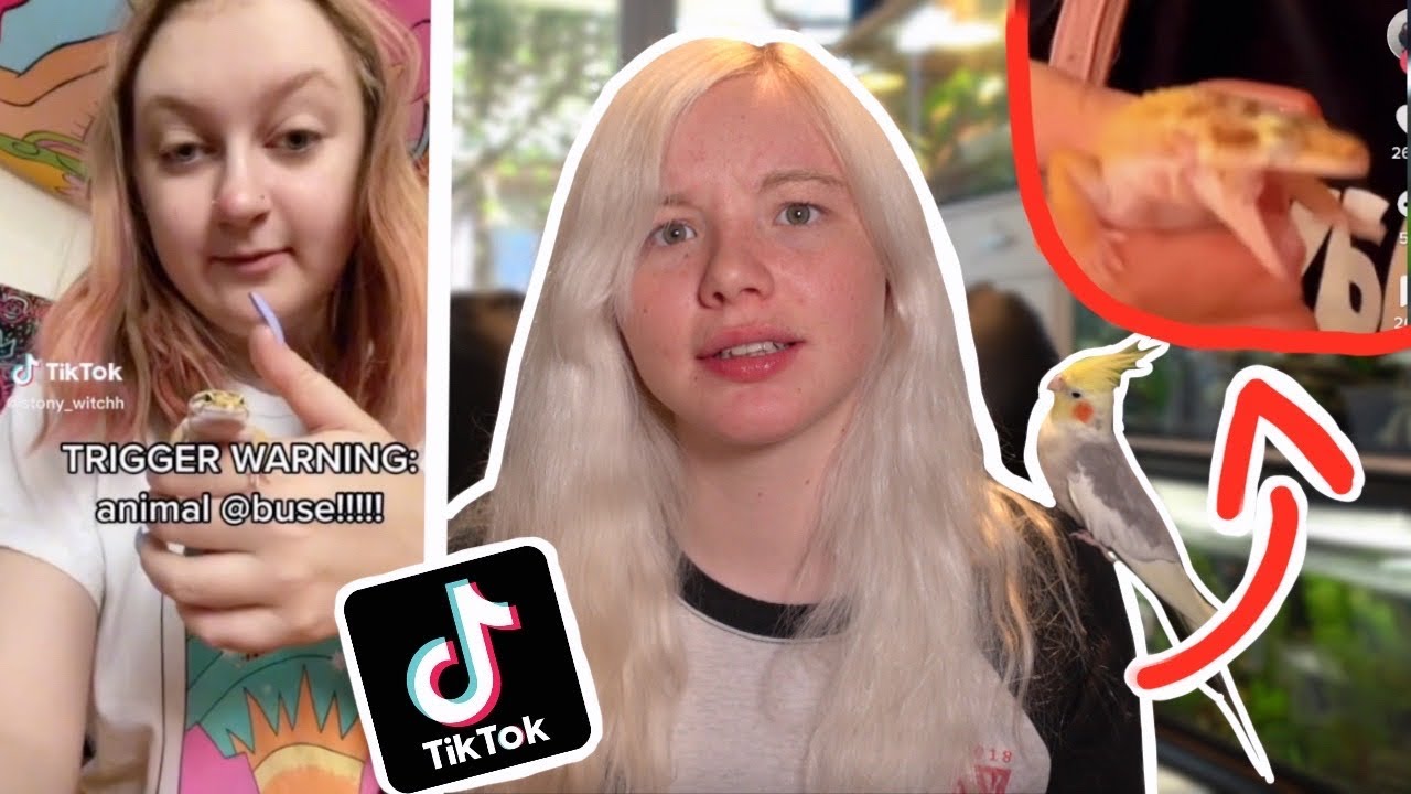 TikTokers Need to STOP Mistreating Their Pets