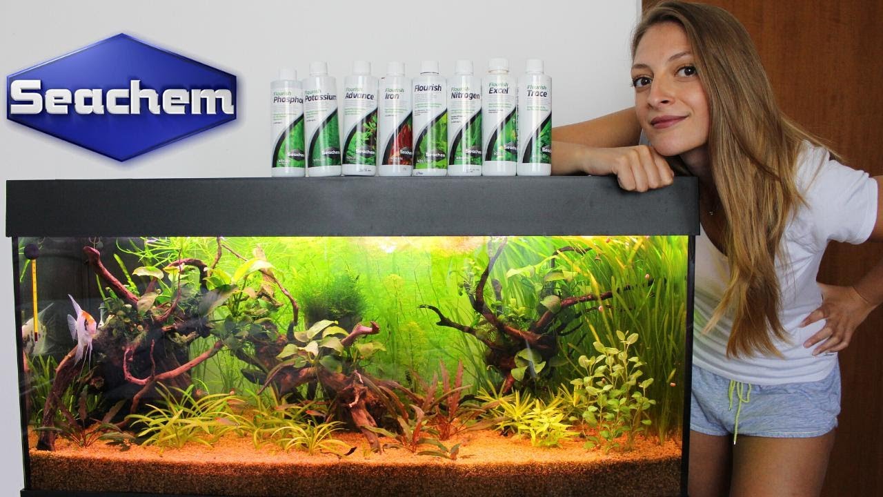 Fertilizzanti in acquario - protocollo di concimi Seachem