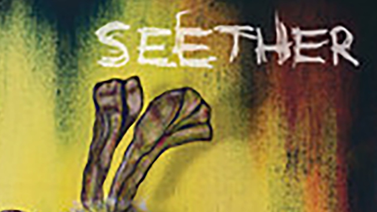 Seether - Nobody Praying for Me (Explicit)