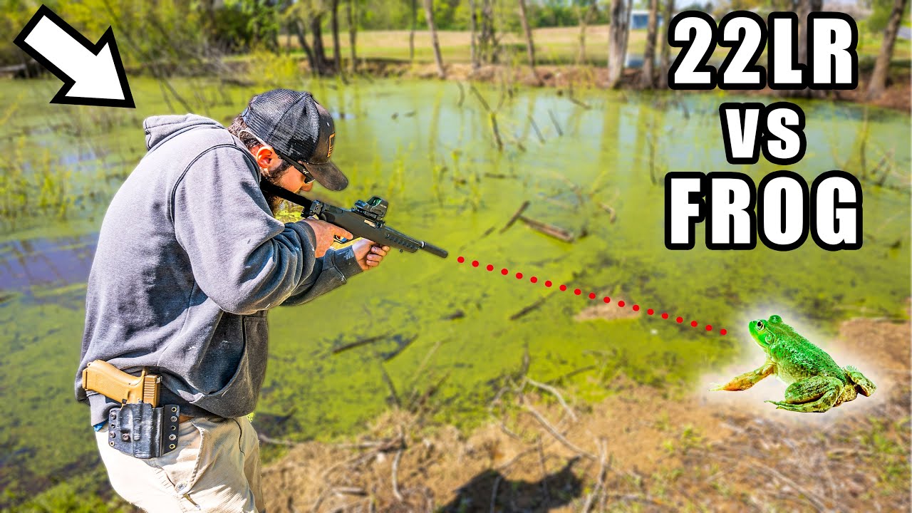 Hunting MASSIVE BULL FROGS ( Catch & Cook )
