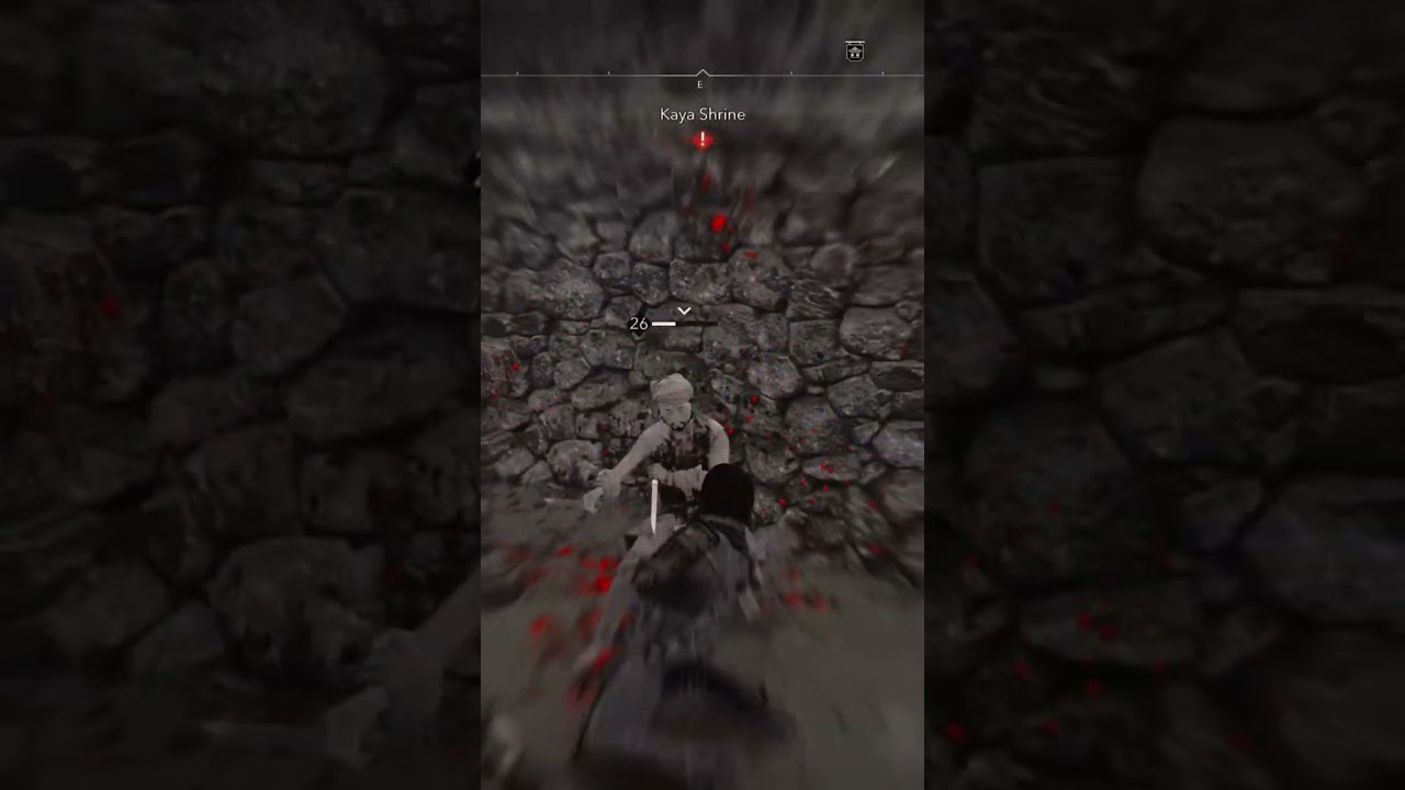 stab, stab, stab... #ps5 #gaming #acshadows #acs