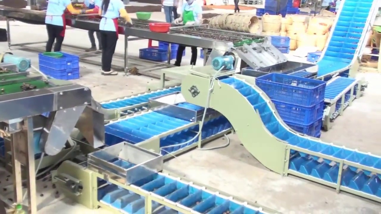CASHEW SHELLING MACHINE SM1000