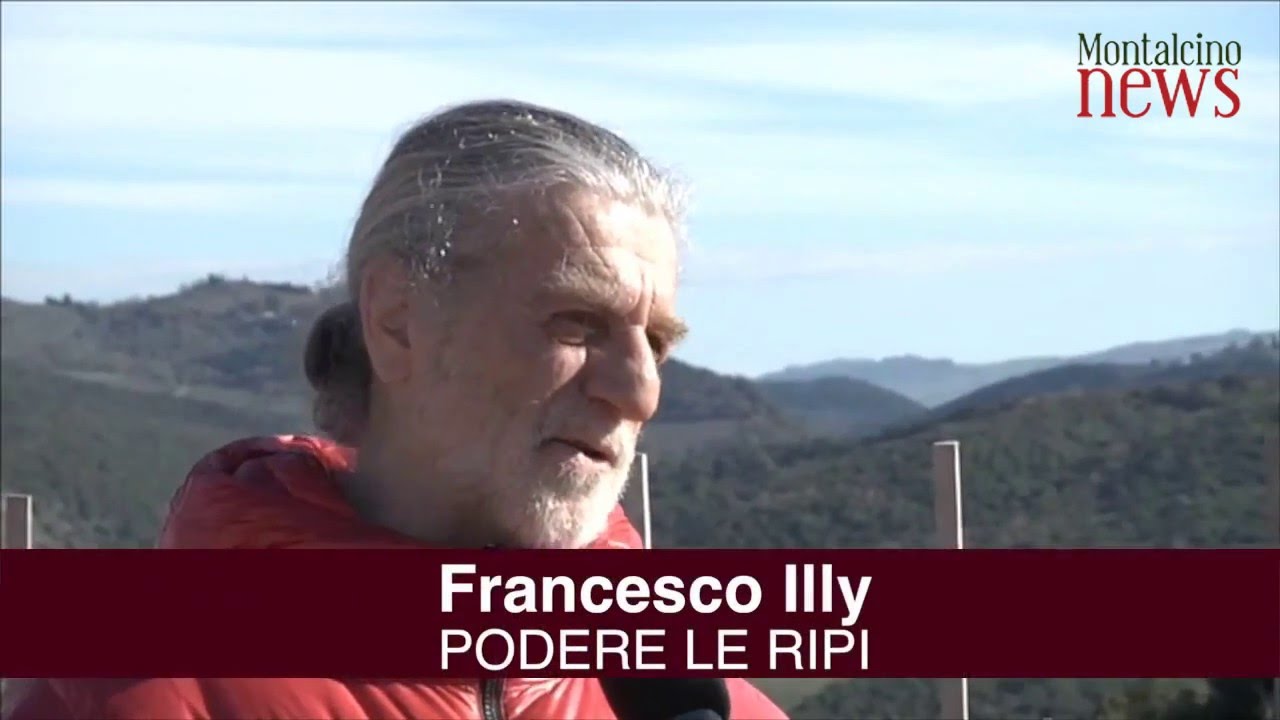 Francesco Illy di Podere Le Ripi: “vi presento la mia Cantina Aurea”