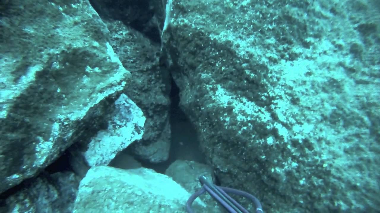 Pesca Submarina Tenerife - Abadejo en zona desértica