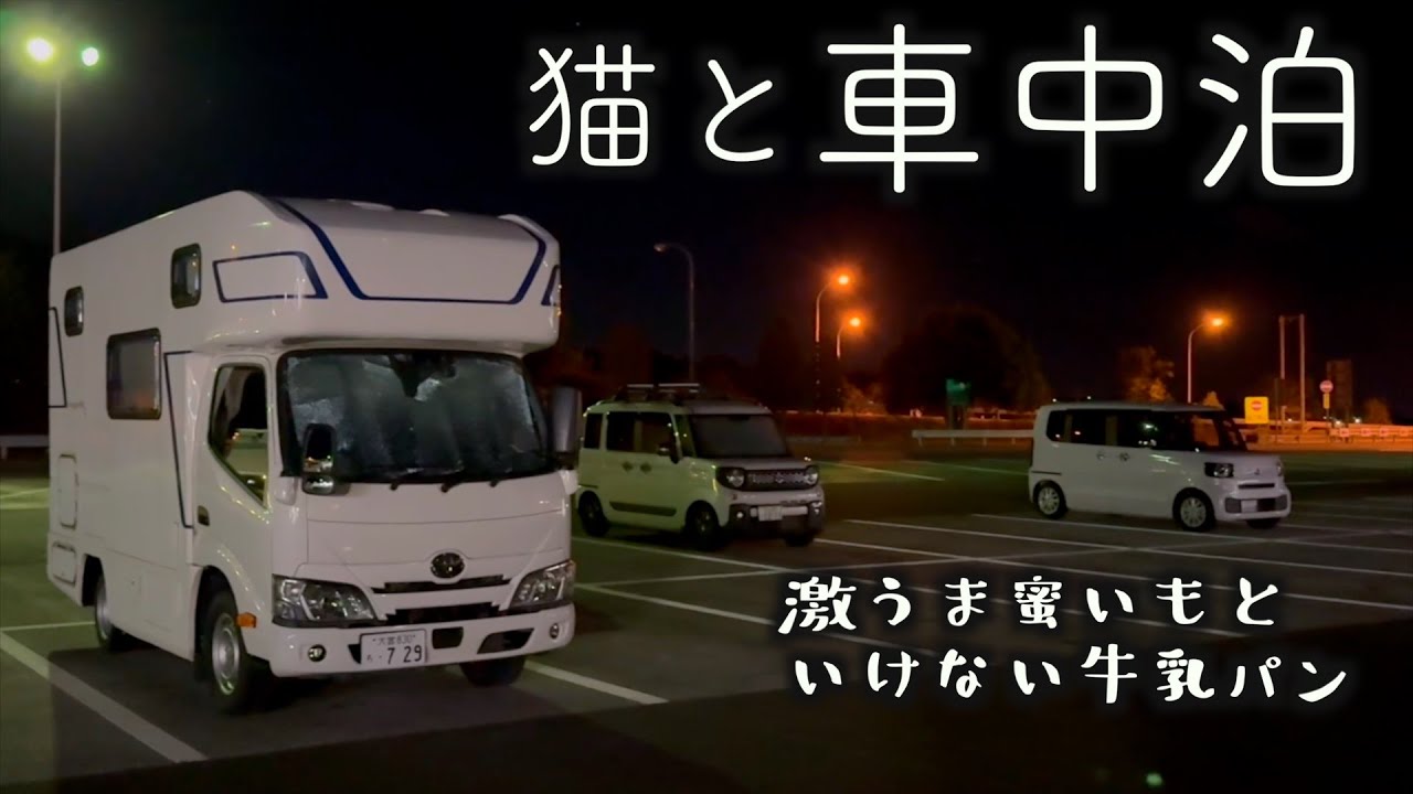 【車中泊✖︎猫】猫とまったり過ごす車中泊の夜／城址公園散歩で出会った激うま蜜いも