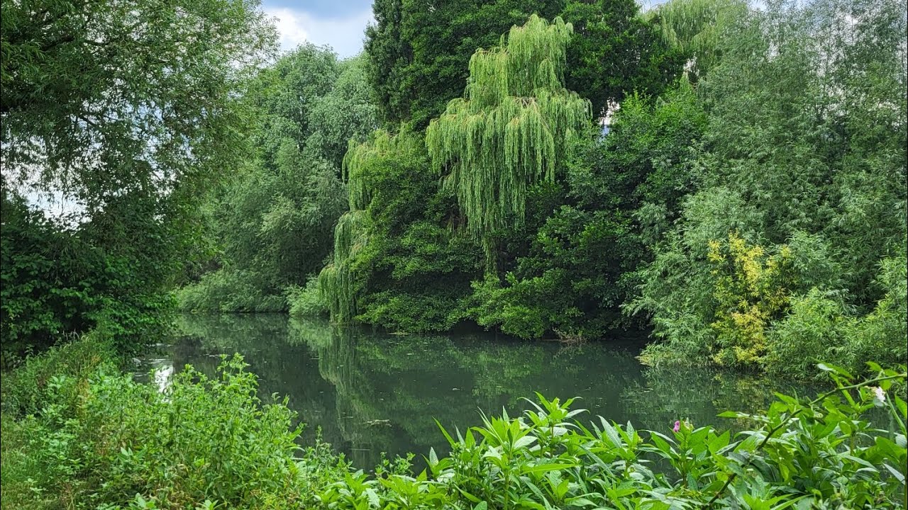 River carping. The campaign begins!