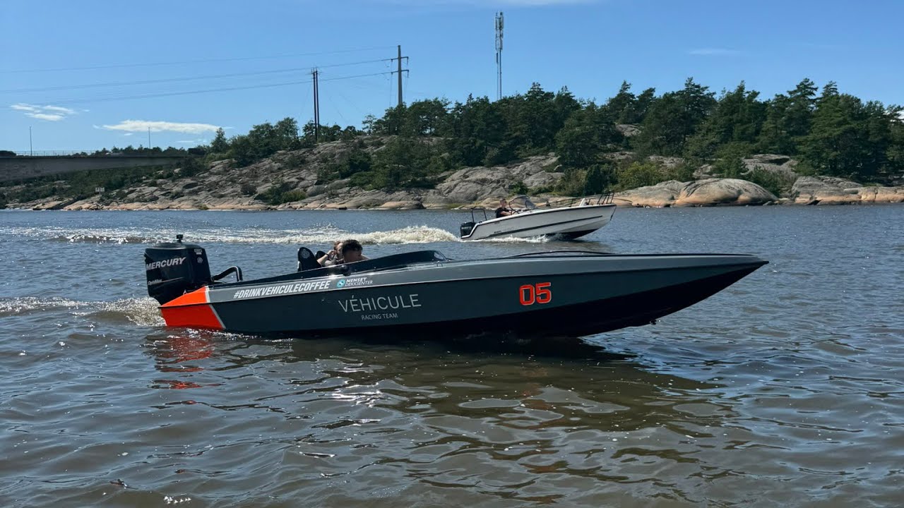 Tintopieta Mercury 150 Optimax