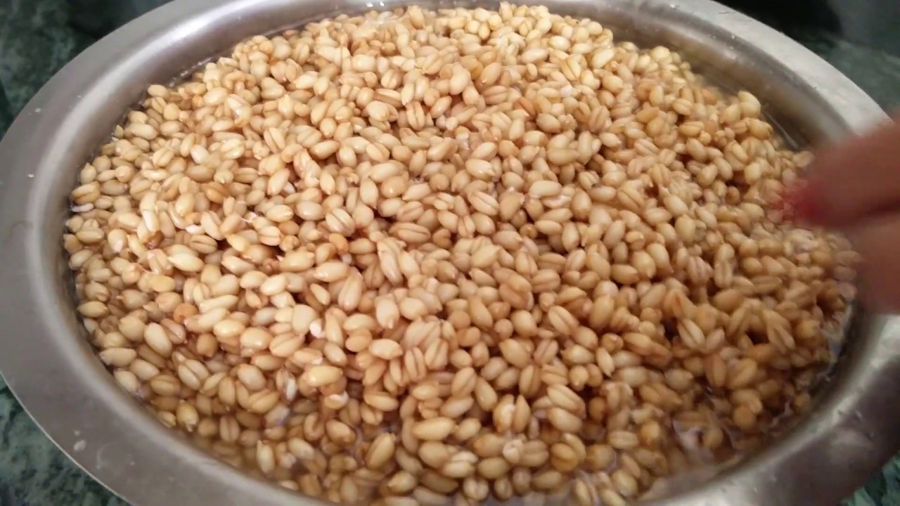 गेहू से सीरा कैसे बनाते है - हिमाचल की स्पैशल रेसिपी यूट्यूब पर पहली बार