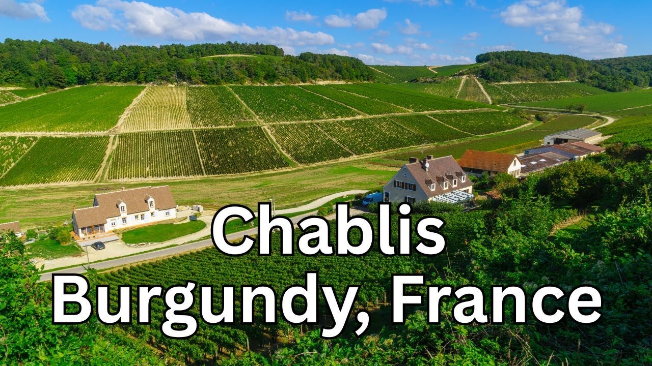 Travel Chablis: A Wine Lover's Guide to Burgundy's Hidden Gem