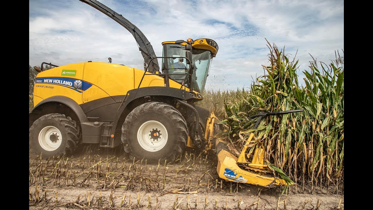 Zobacz sieczkarnię New Holland FR 650 w akcji!