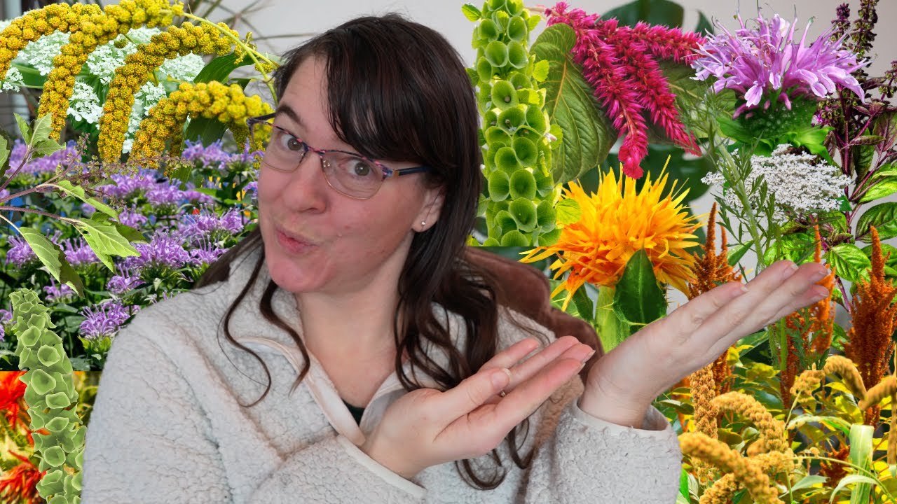 Top 10 Cut Flower Filler and Greenery for 2025