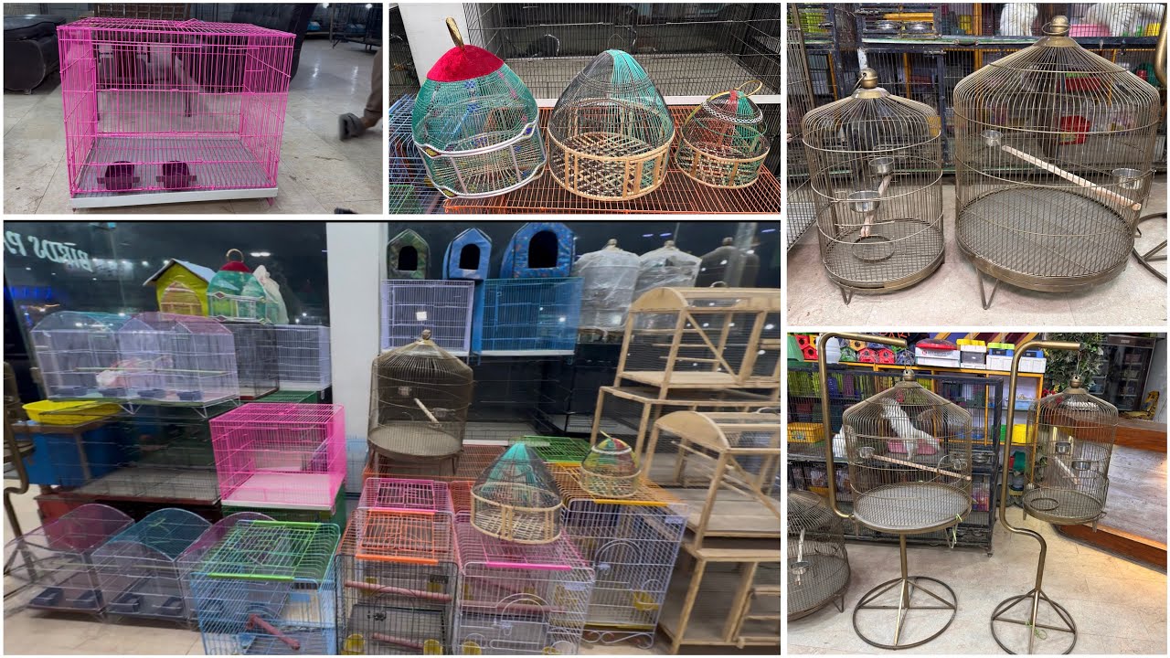 Cage for Birds New Cage for Sale In Pakistan | folding  Cage for Sale | Birds Cage Price in Multan