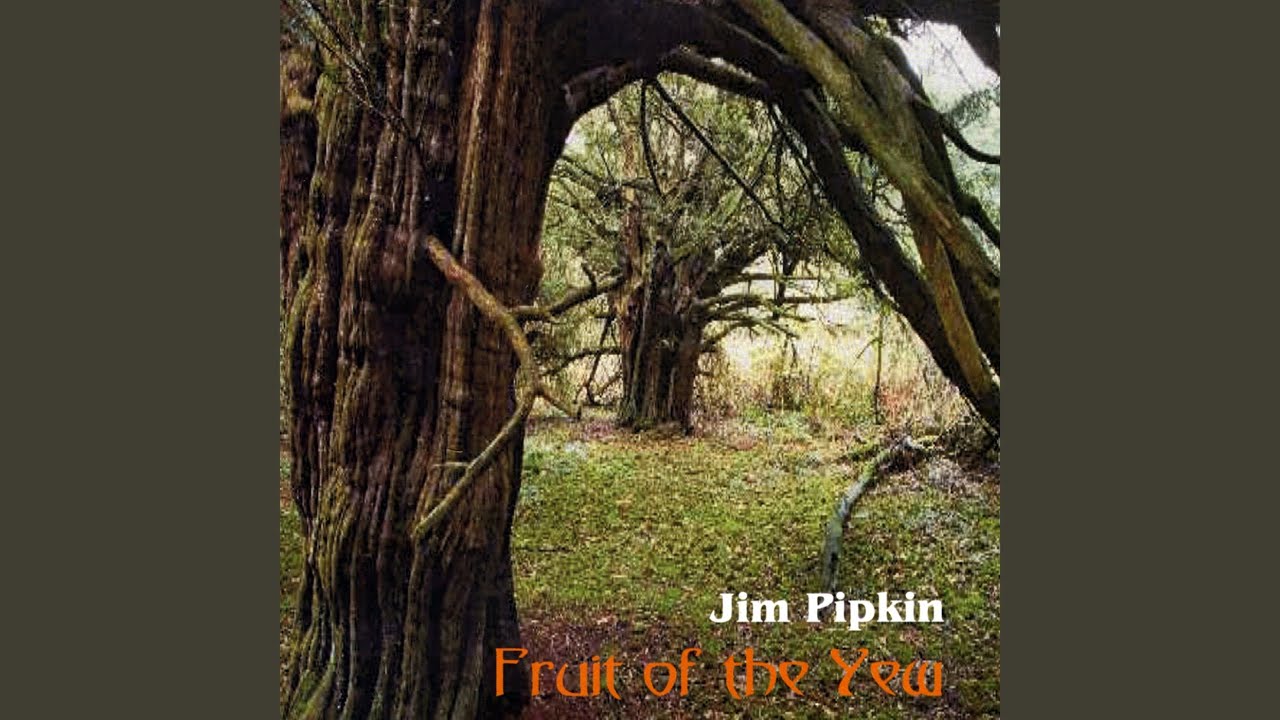 Fruit of Te Yew