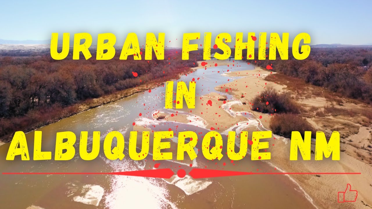 Urban Fishing The Rio Grande in Albuquerque NM (Multi Species Fishing)