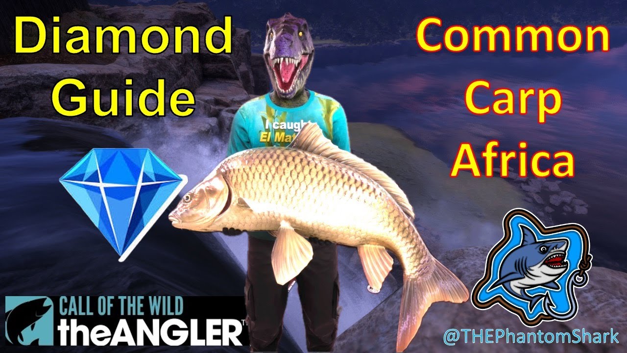 Africa Common Carp Diamond Guide! Top Hotspot! Izilo Zasendulo Reserve  Call of the Wild: The Angler