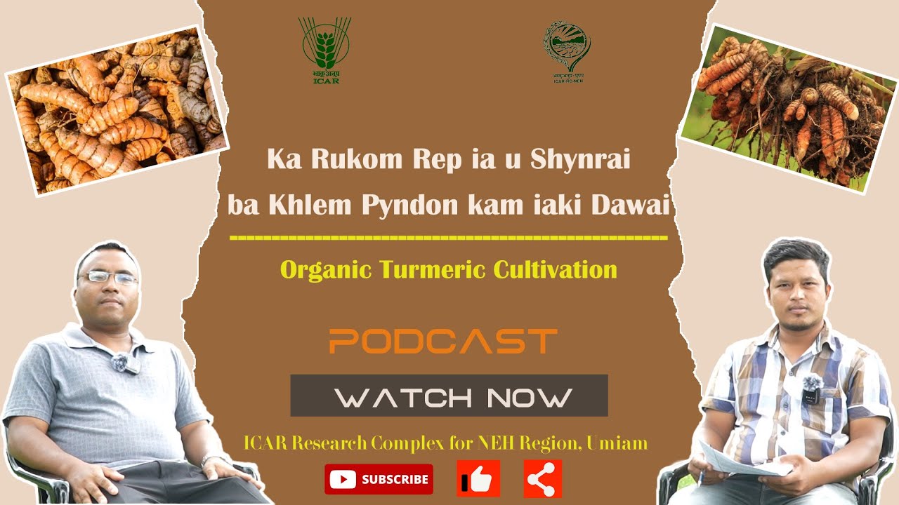 EP-13|| Podcast on 