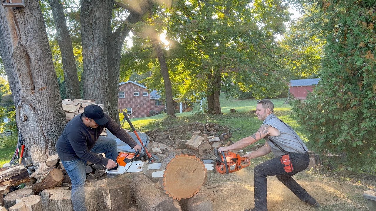 stihl 661 vs ported 372 husky - surprising results