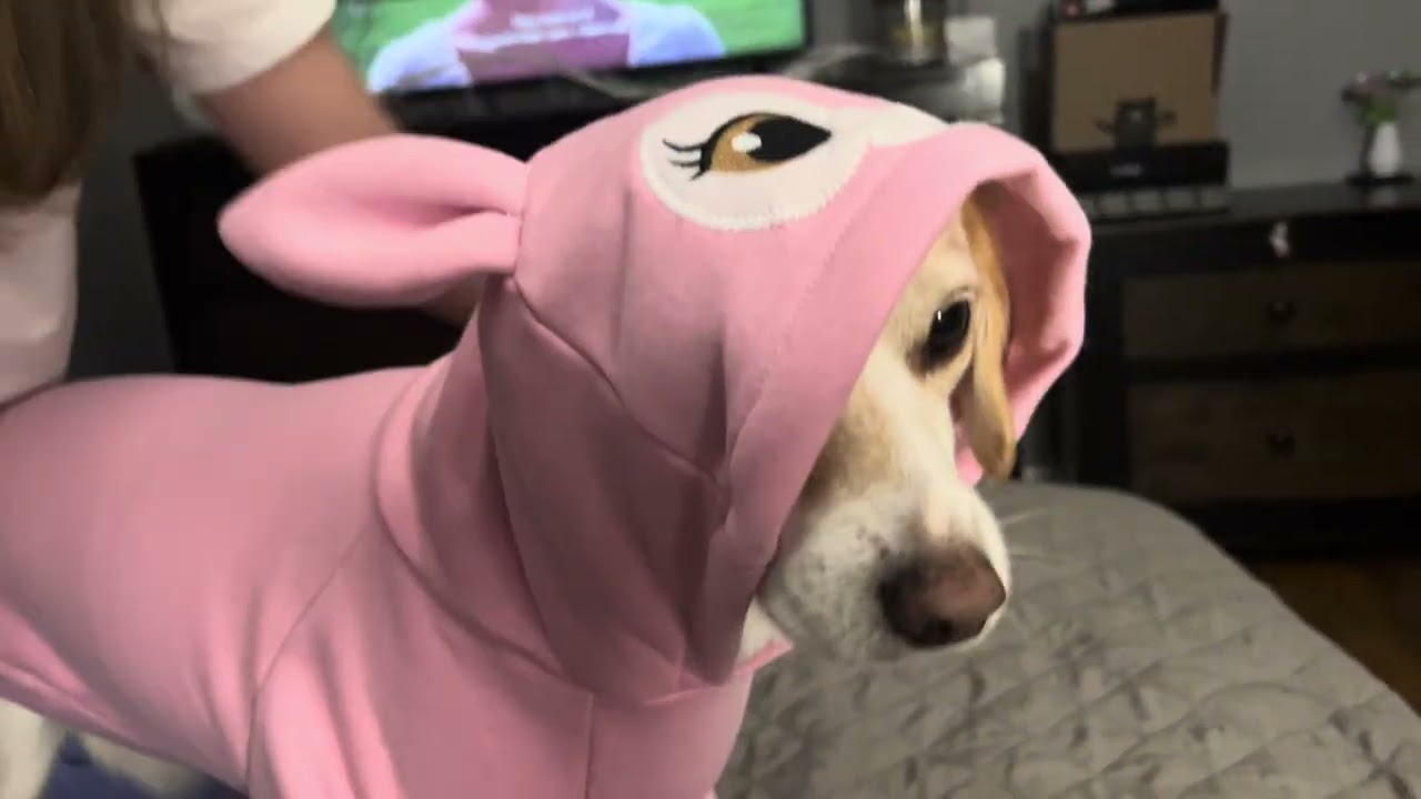 Rosie gets a new fit