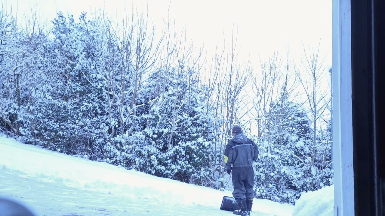 Hinna First Snow Jan 2026