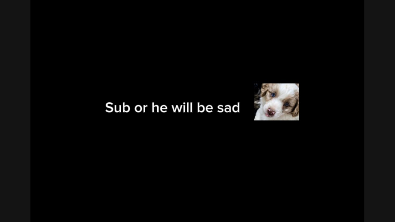 Live subcount