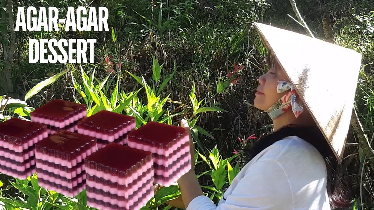 Mai huong Food | Agar-agar dessert recipe with purple leaves picked, planting purple leaf plants