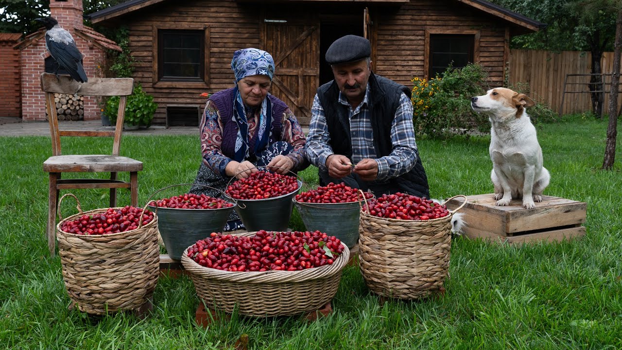 Рецепт Соуса из Кизила | Который Преображает Любое Блюдо 🌿