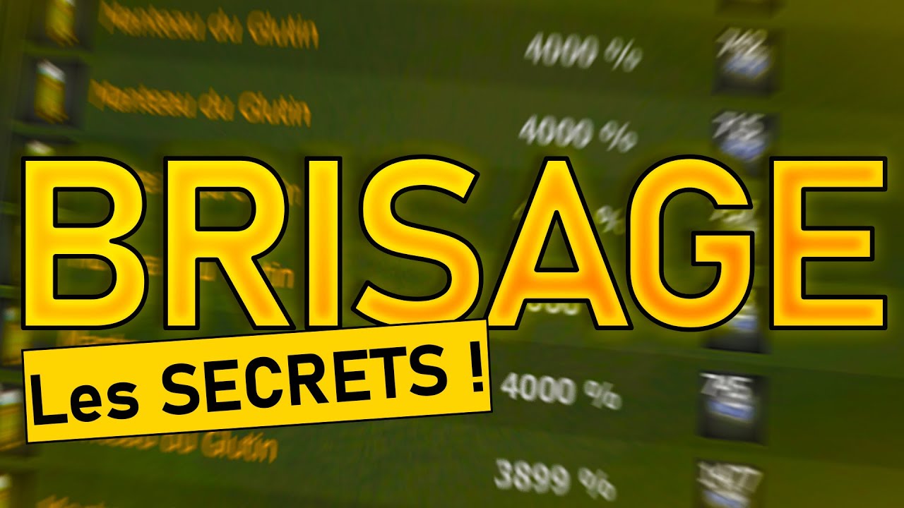 RICHE AVEC LE BRISAGE - TUTO COMPLET DOFUS (Kamas / Strats)