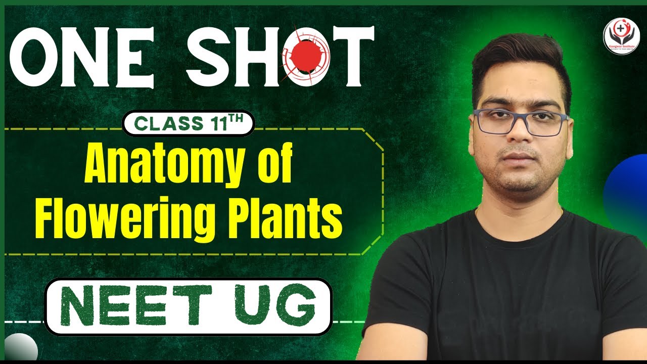 NEET 2025 | Anatomy of Flowering Plants | Day - 27 | Crash Course | #gangwarinstitute