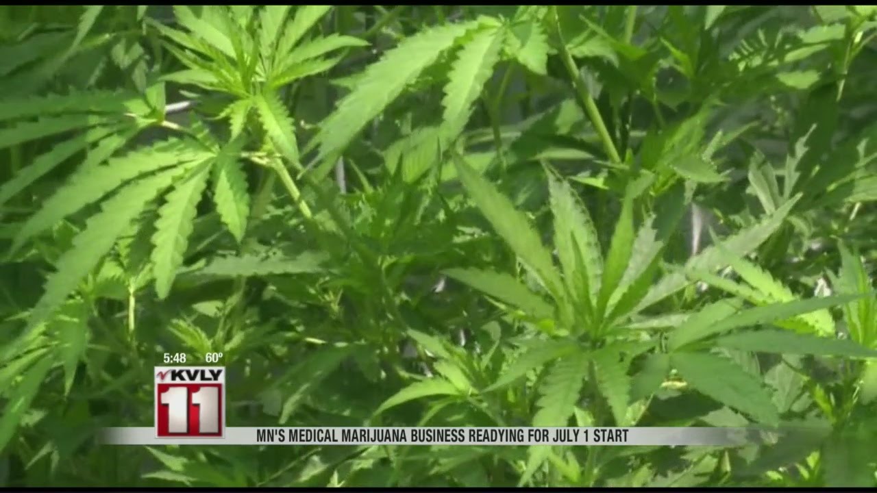 MN Medical Marijuana Business Preparing For July 1st Start