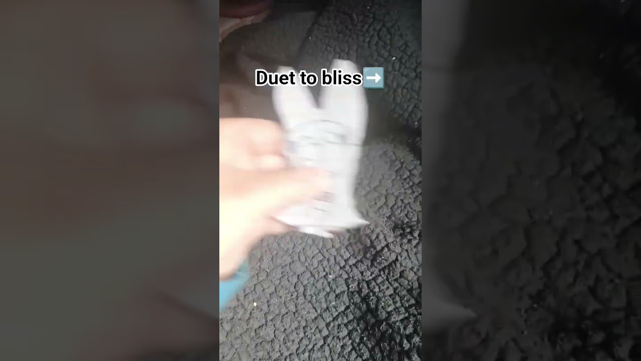 Duet to bliss➡️ 