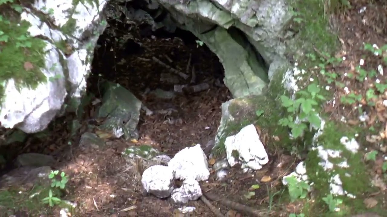 Spaziergang bei Bad Sachsa im Südharz