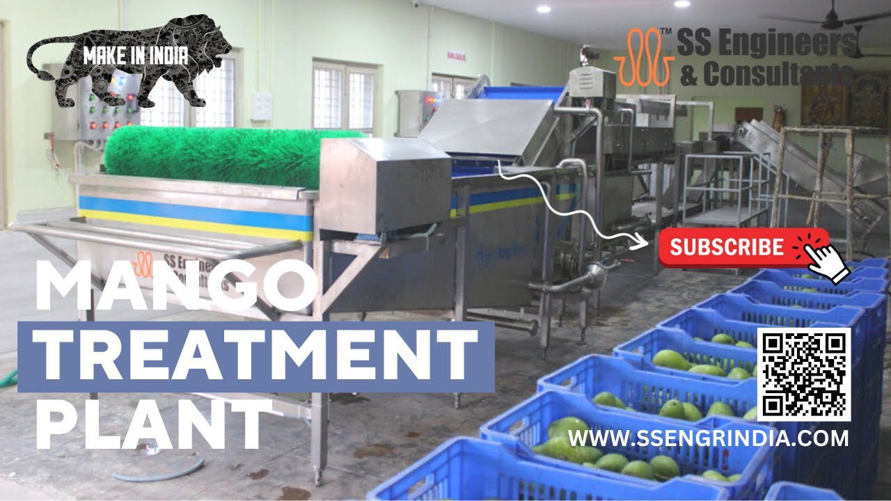 Mango Treatment Plant | Mango processing 🥭| #ssec #ssengrindia
