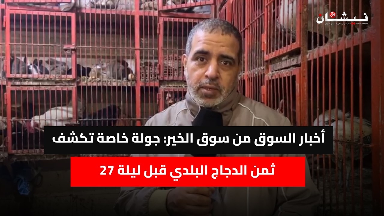 أخبار السوق من سوق الخير: جولة خاصة تكشف ثمن الدجاج البلدي قبل ليلة 27