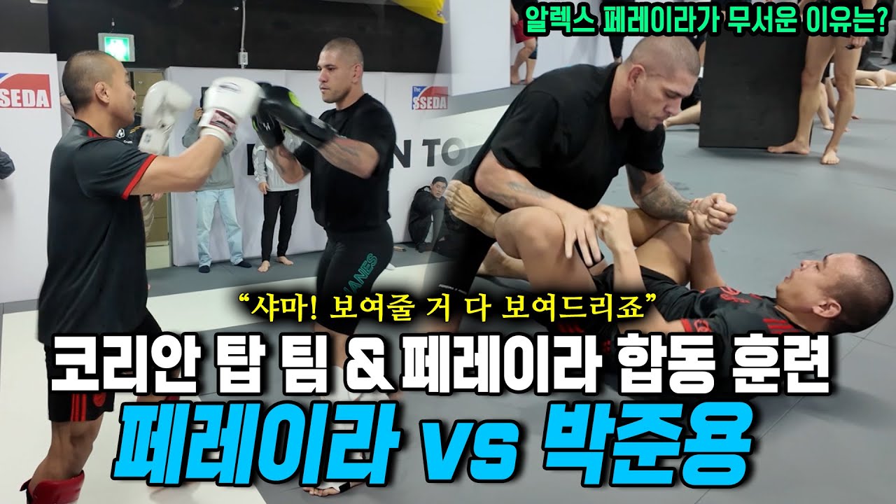 [알렉스 페레이라 vs 박준용 스파링] 흔히 볼 수 없는 타격 & 그라운드 싸움! ㅣ 페레이라가 무서운 이유를 스파링 상대들이 말한다! ㅣ 