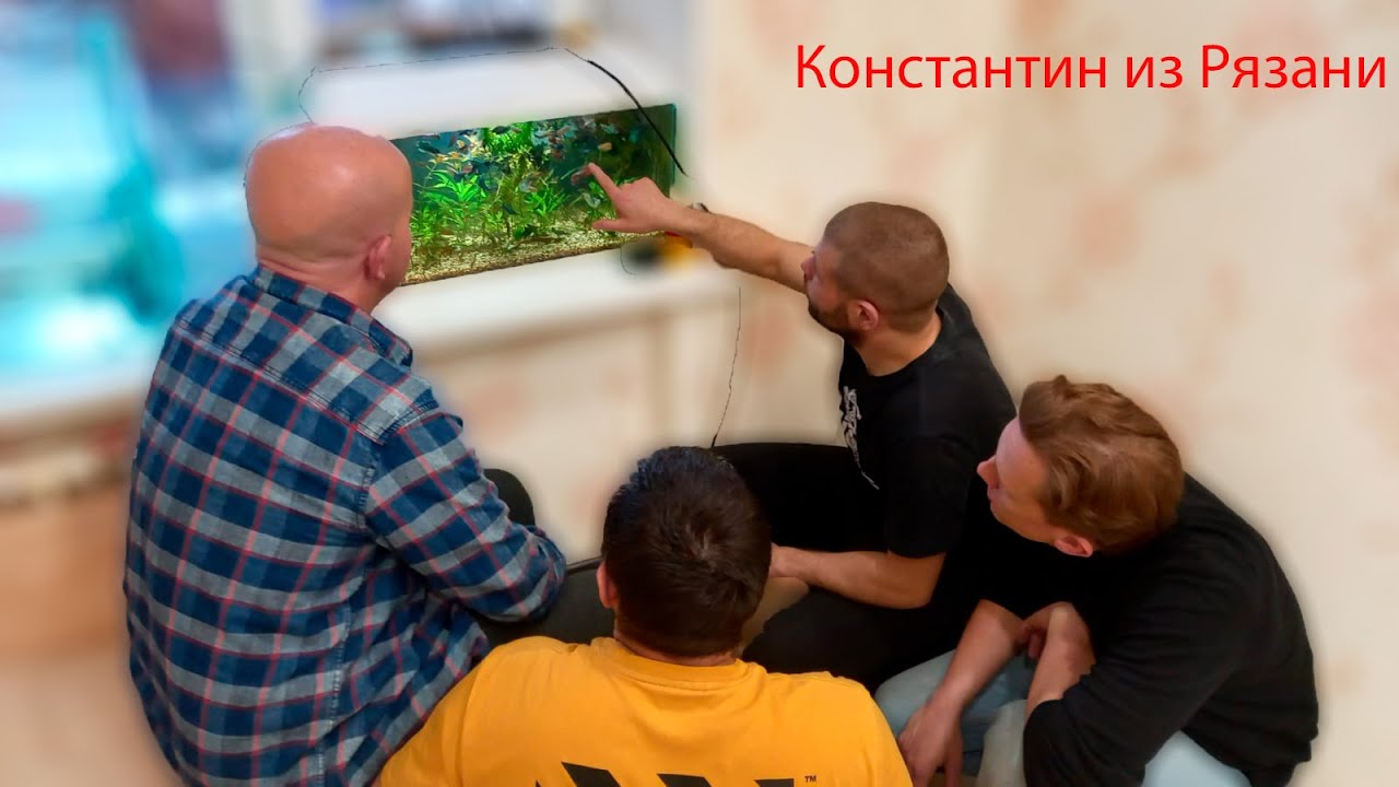 Домашнее хозяйство Константина г. Рязань