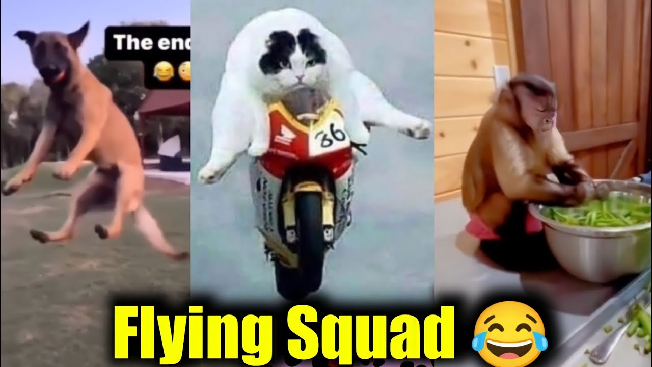 Flying Squad | Vikram 3 | Funny video | Twisty story | Twist at end