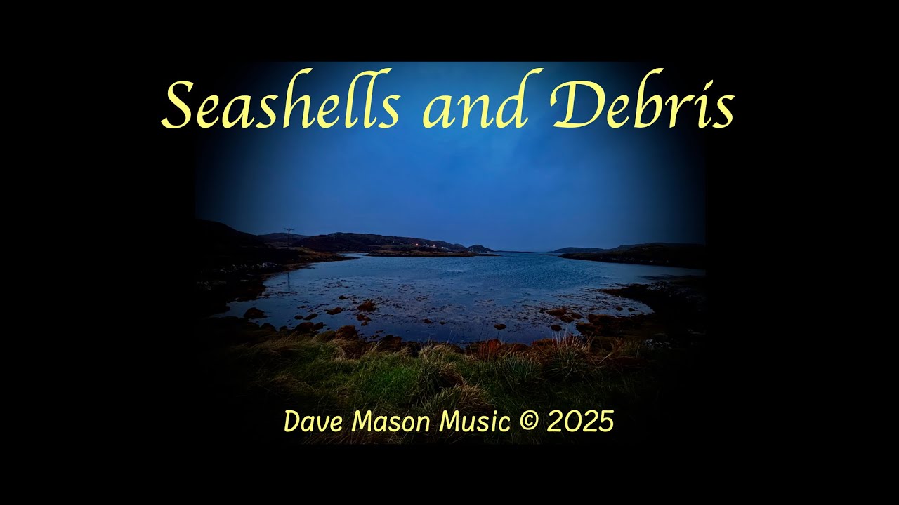 Seashells  and Debris