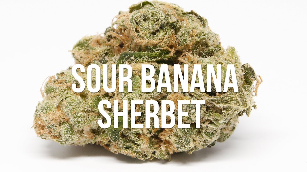 Sour Banana Sherbet Strain Review