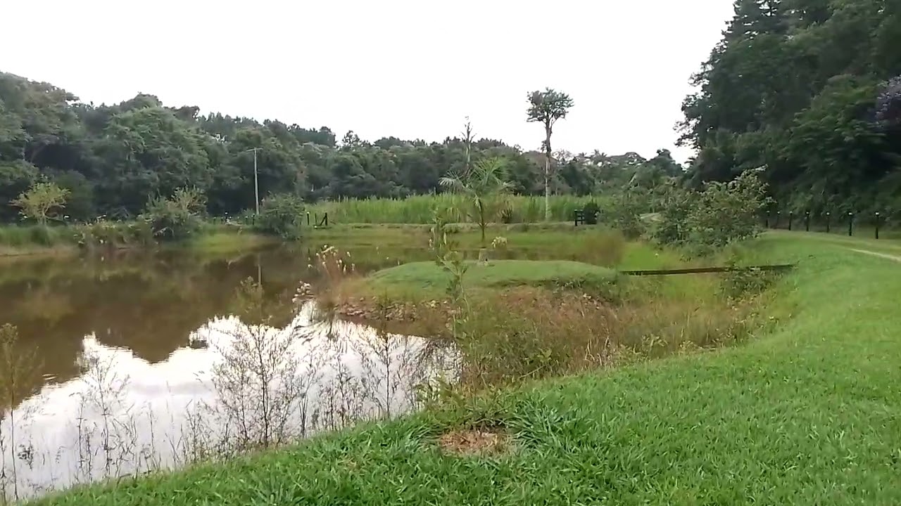 essas  histórias  são  só  cópias 