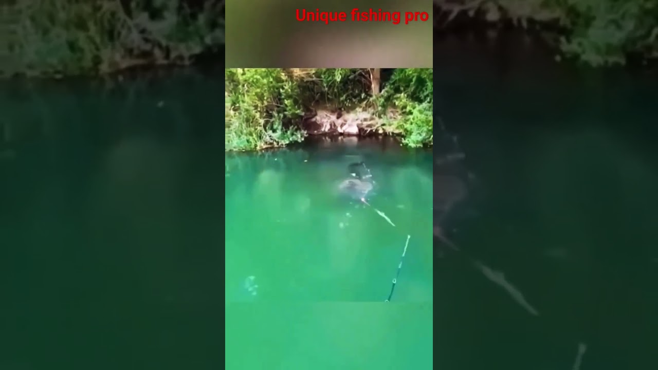 Wow really hook  big catfishing video #youtubeshorts #viral #fishing #shortvideo #shortvideo#youtube