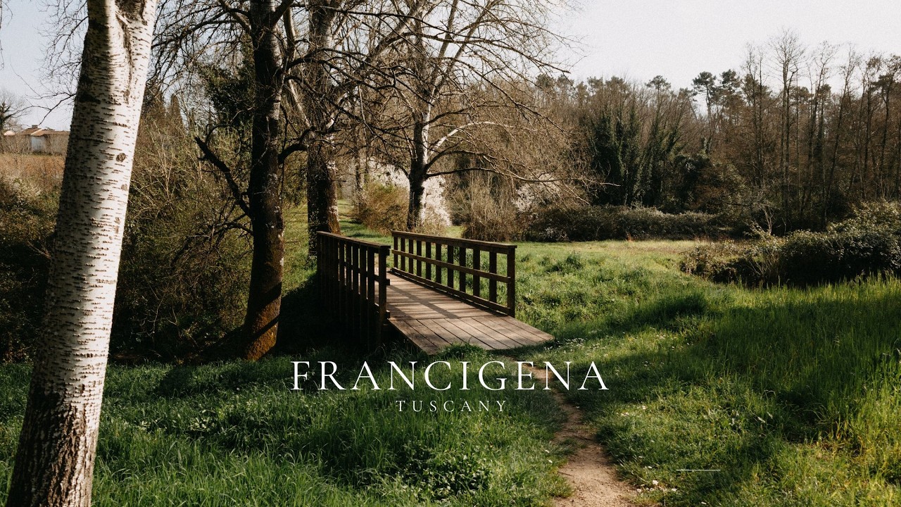 Walking the Ancient Via Francigena | A Quiet Path Through Tuscany