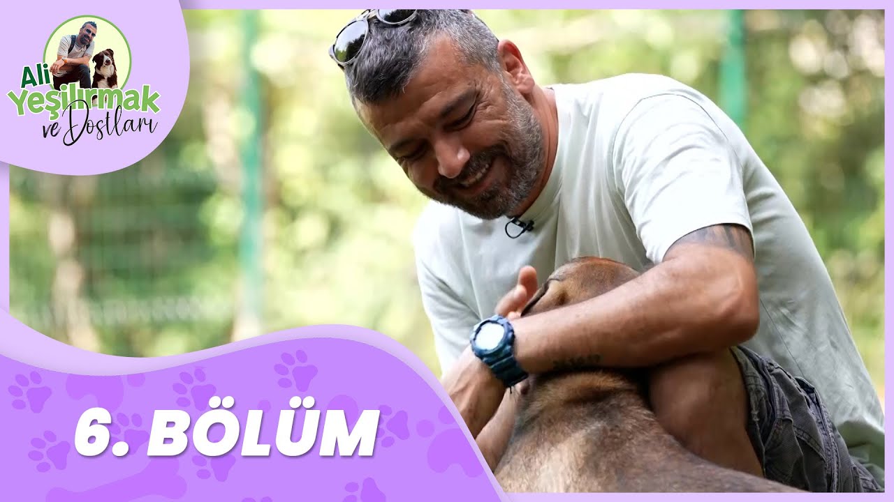 Ali Yeşilırmak Ve Dostları 6. Bölüm