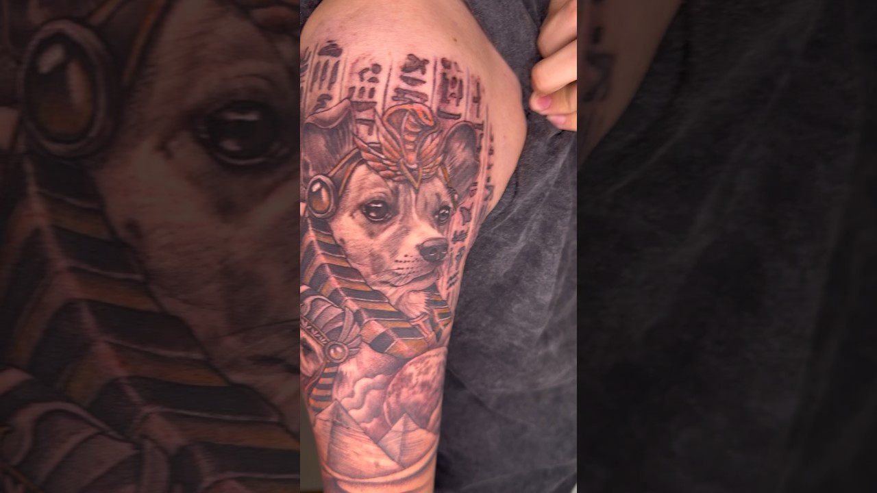 #dog #tattoo #寫實刺青 #美式刺青 #tattoo #刺青 #台中刺青 #寵物刺青 #埃及