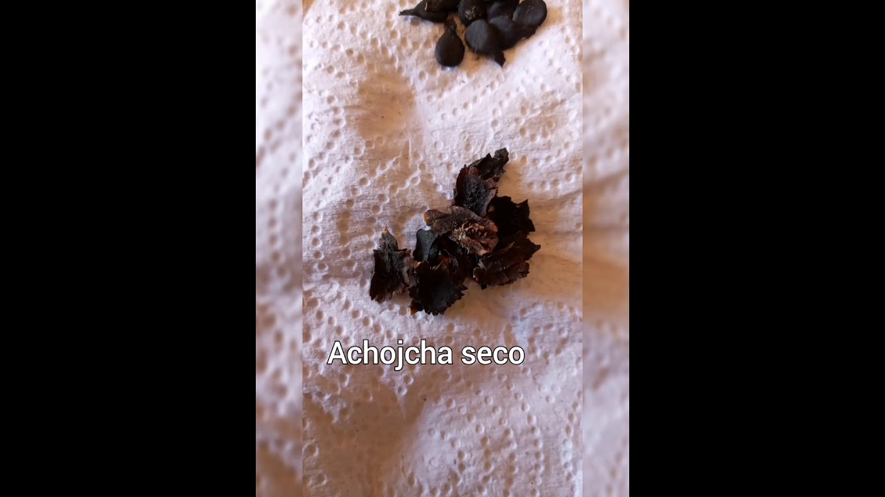 Germinando Semillas en Casa/Cuar3ntena/Wi&ntilde;ay Pacha