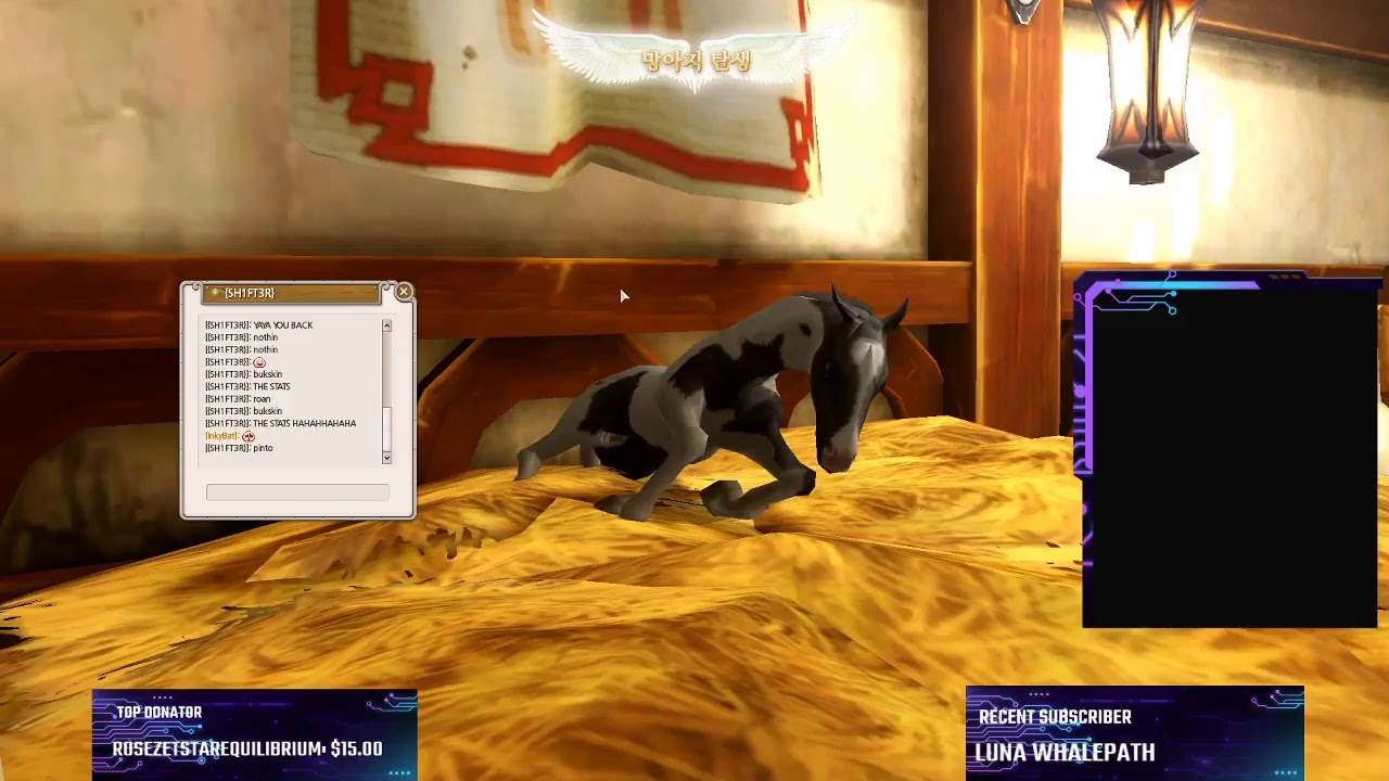 ⭐️Alicia Online | Grinding Easter Boxes for Black Frame Overo Coat 2021 ⭐️